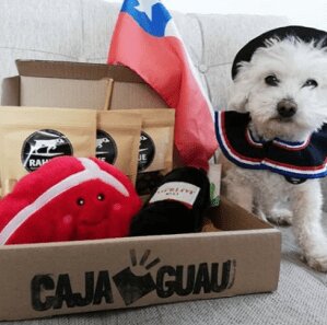 Caja Guau Septiembre